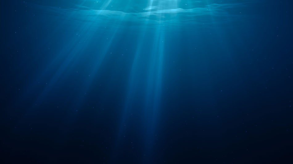 View of streaks of sunlight from beneath the water's surface